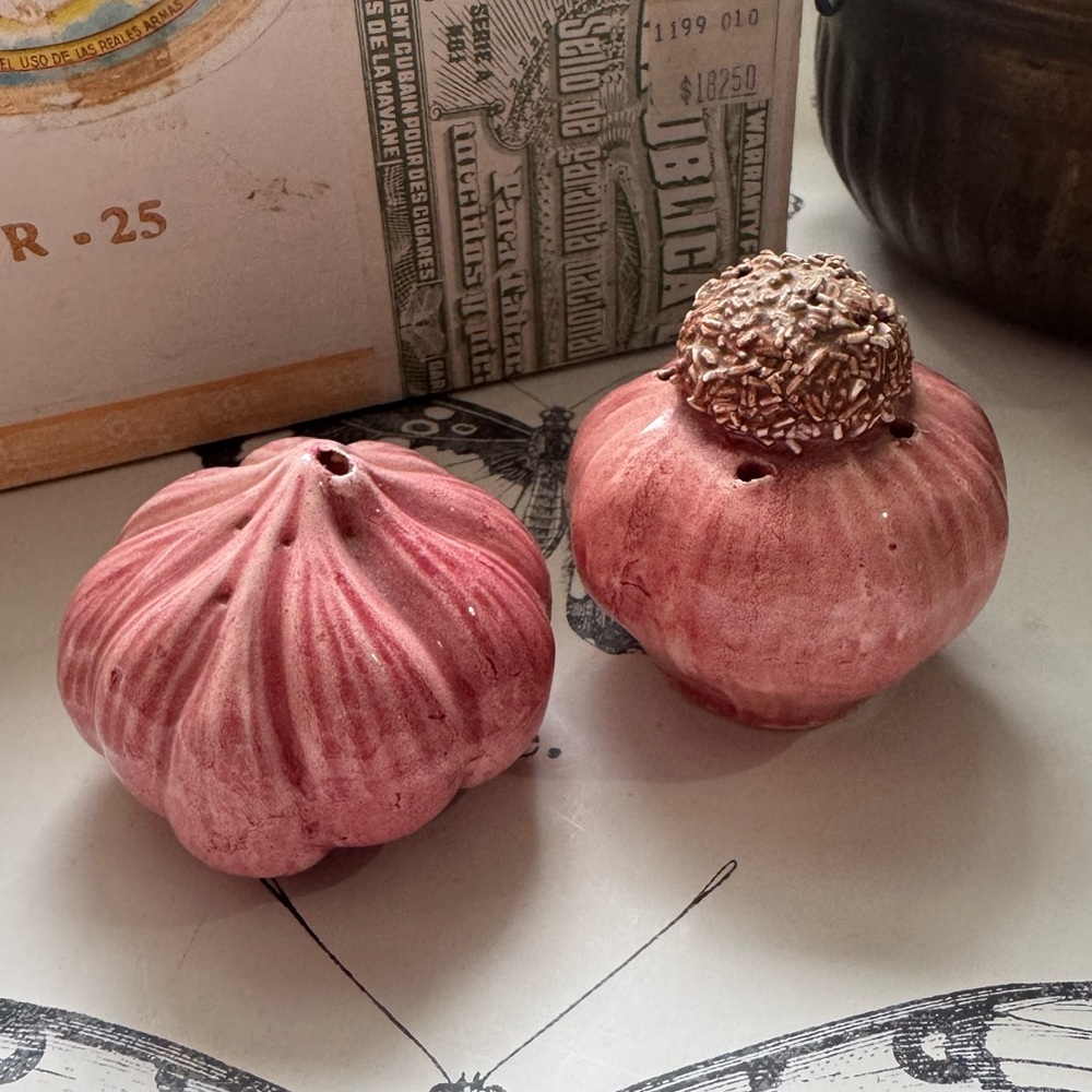 Vntage garlic bulb salt & pepper shakers Pink Ceramic Cottage Farmhouse So Cute!